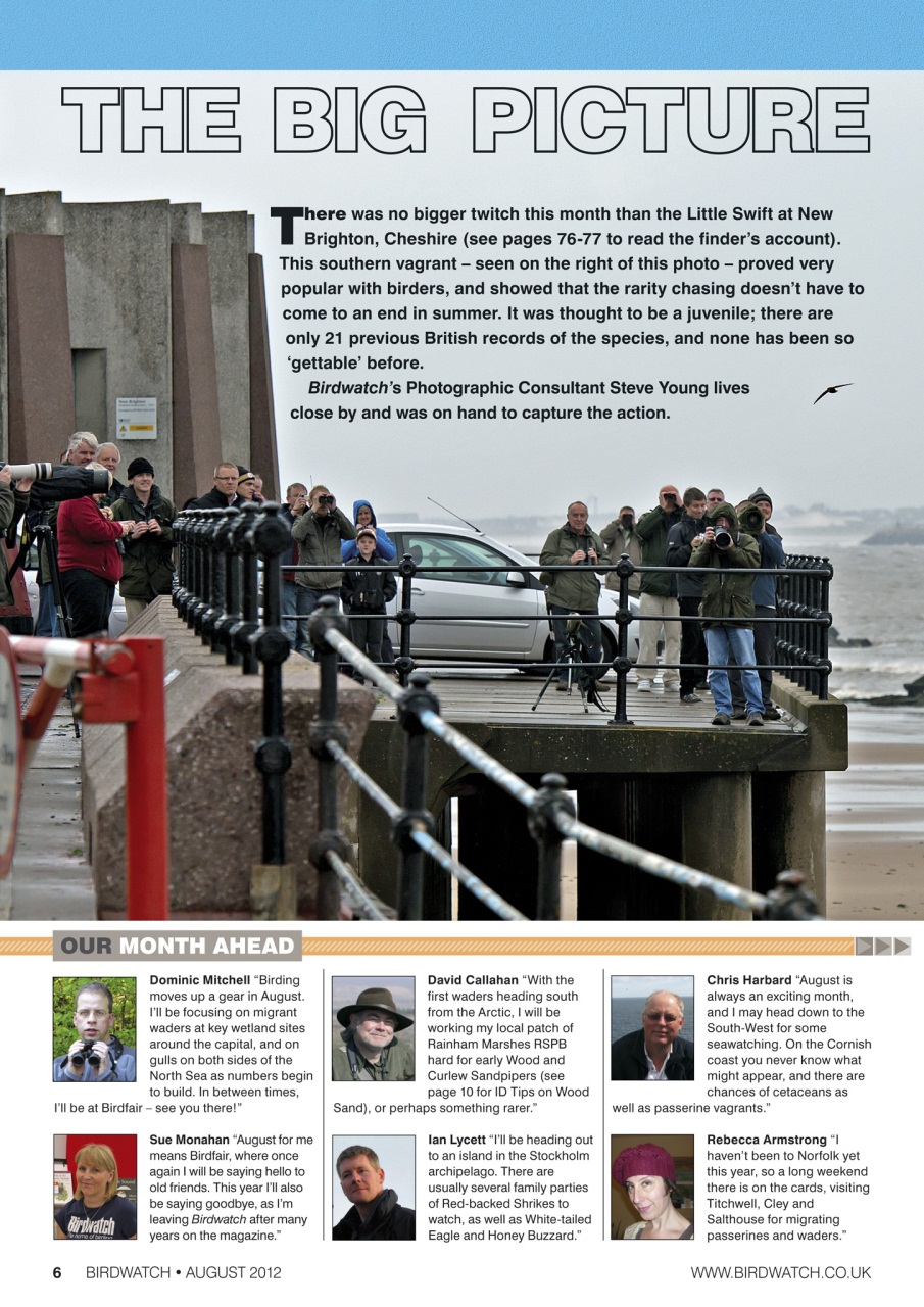Birdwatch Magazine Preview Pages
