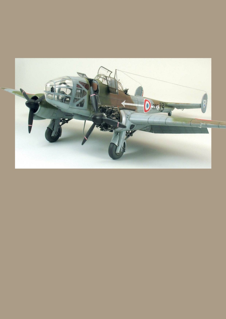 Meng AIR Modeller Preview Pages