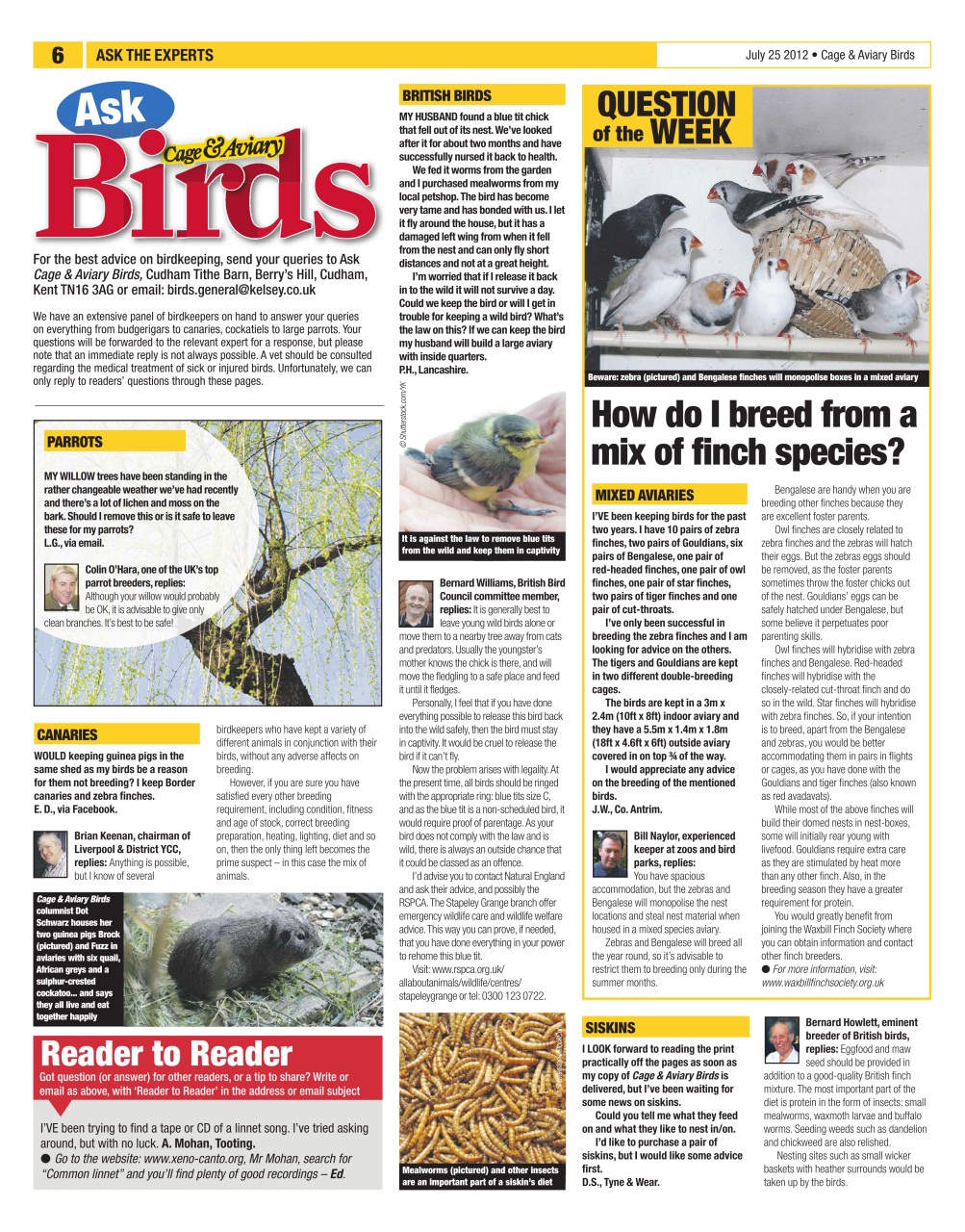 Cage & Aviary Birds Preview Pages