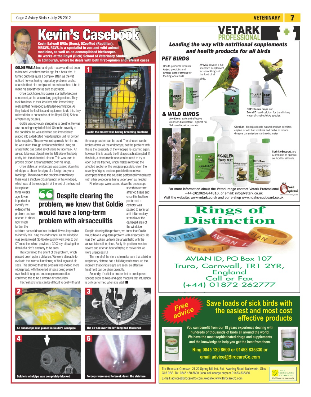 Cage & Aviary Birds Preview Pages