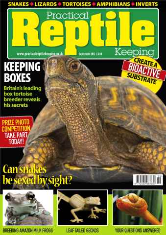 Practical Reptile Keeping issue No.40 Box Tortoise