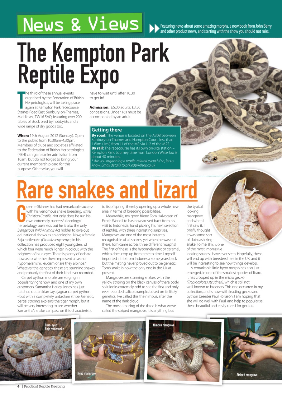 Practical Reptile Keeping Preview Pages