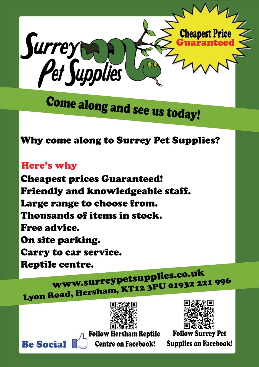 Practical Reptile Keeping Preview Pages