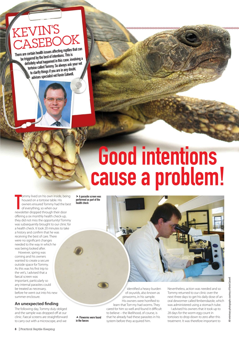 Practical Reptile Keeping Preview Pages