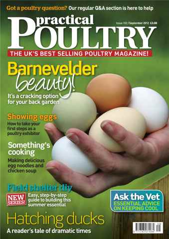 Practical Poultry issue Buy a Barnevelder Sep 2012