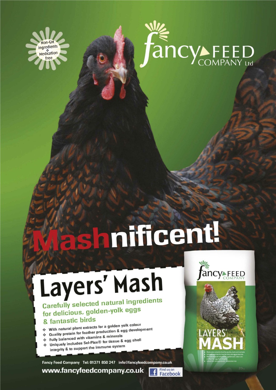 Practical Poultry Preview Pages