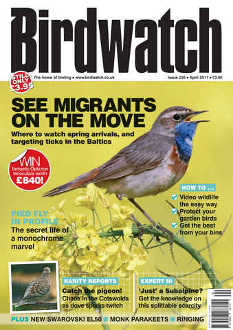 Birdwatch Magazine issue April 2011