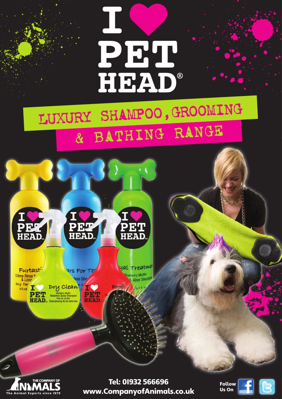 Dogs Monthly Preview Pages