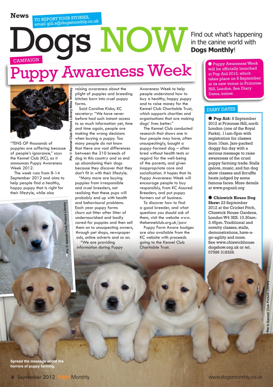Dogs Monthly Preview Pages