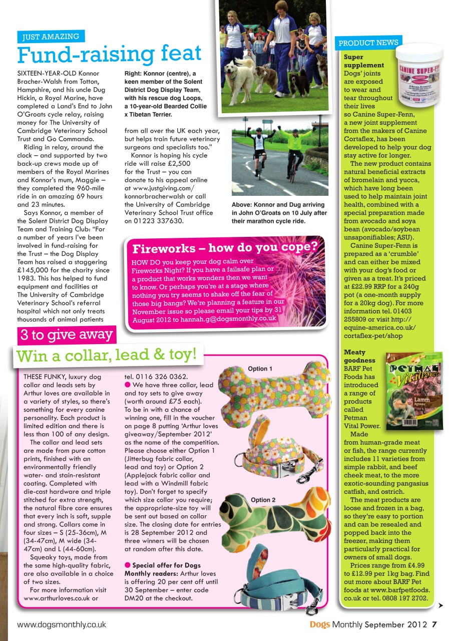 Dogs Monthly Preview Pages