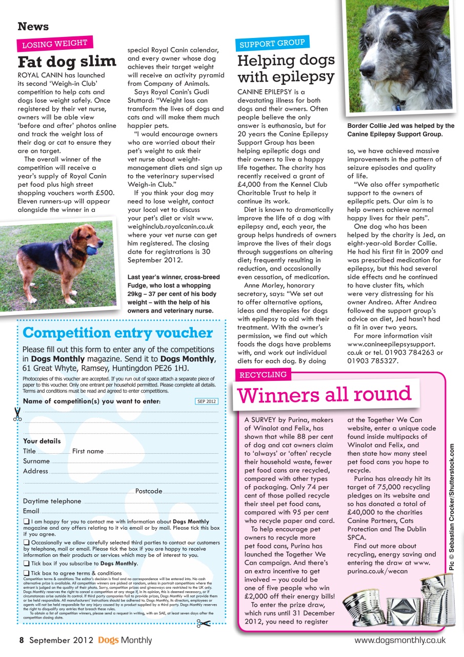 Dogs Monthly Preview Pages