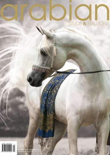 Arabian Studs & Stallions issue 