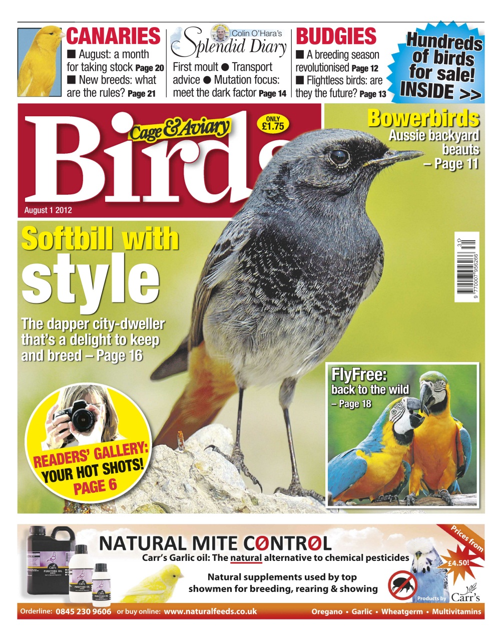 Cage & Aviary Birds Preview Pages