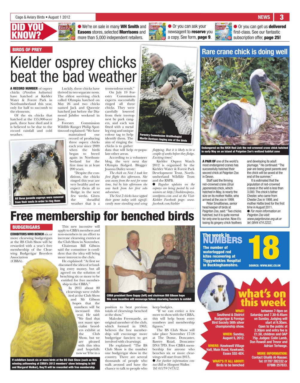Cage & Aviary Birds Preview Pages