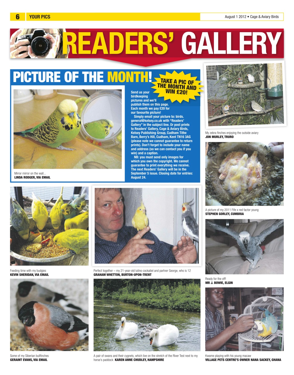 Cage & Aviary Birds Preview Pages