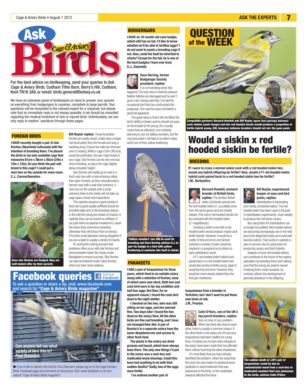 Cage & Aviary Birds Preview Pages