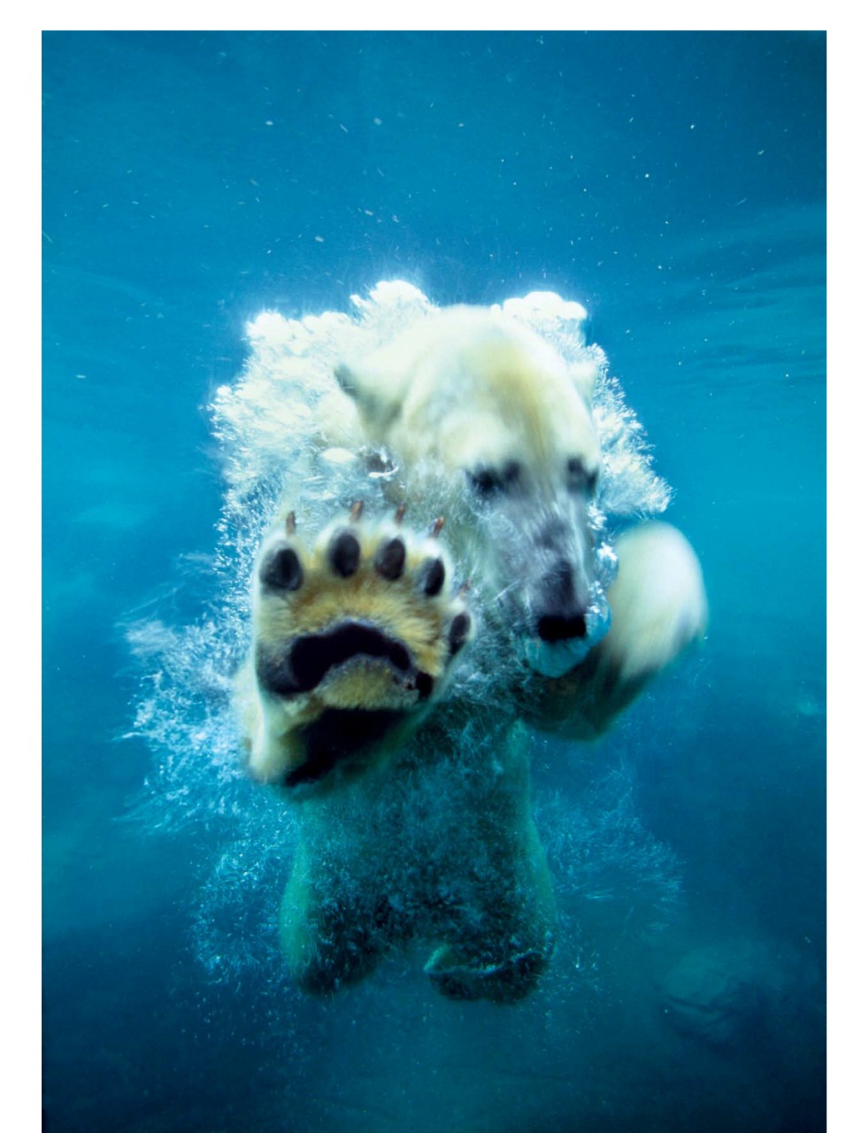 Outdoor Photography Preview Pages