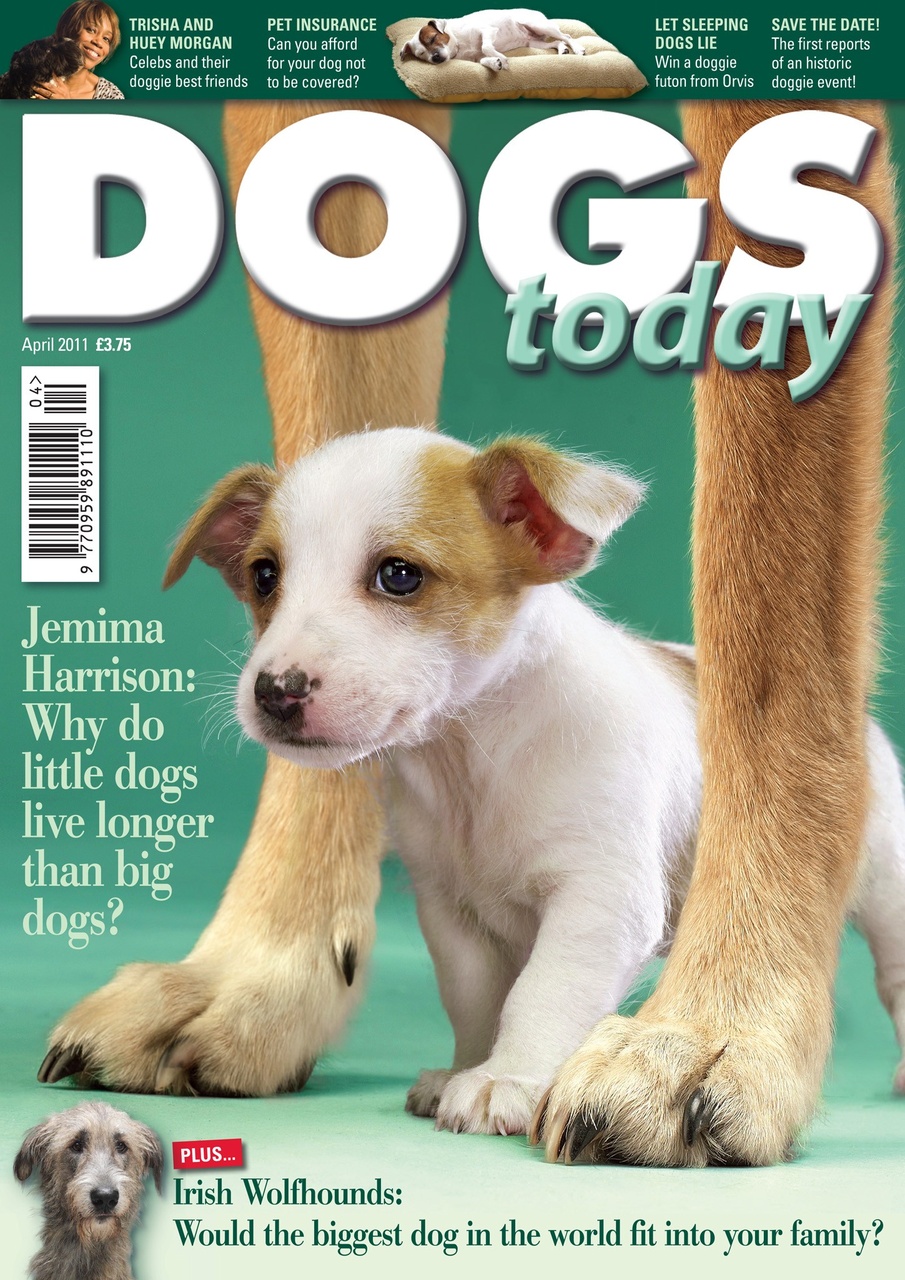 Dogs Today Magazine Preview Pages