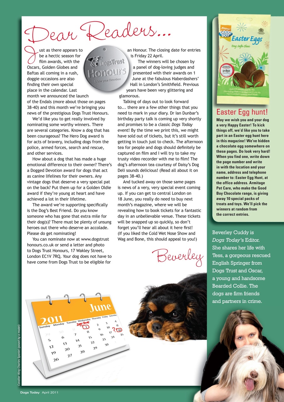 Dogs Today Magazine Preview Pages