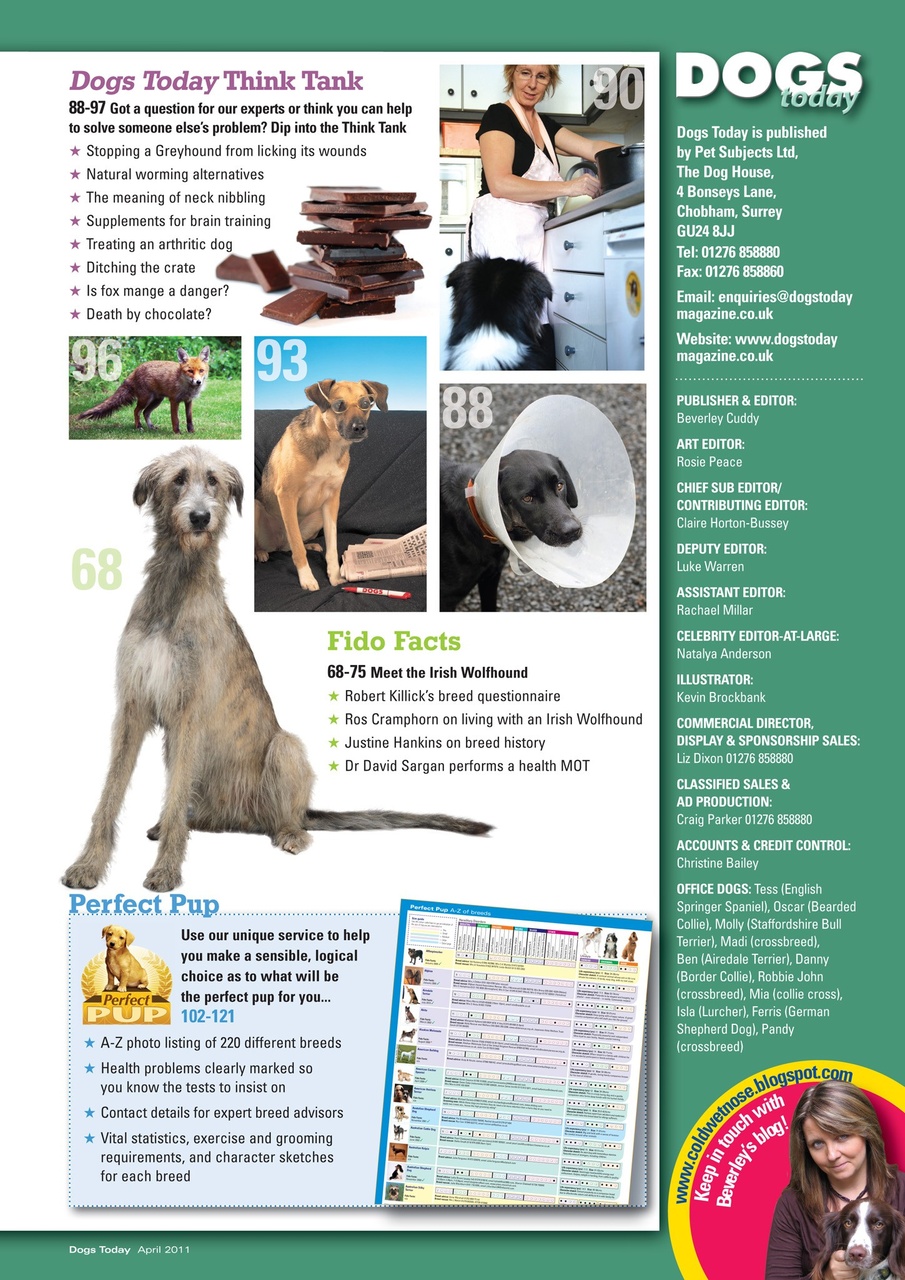 Dogs Today Magazine Preview Pages