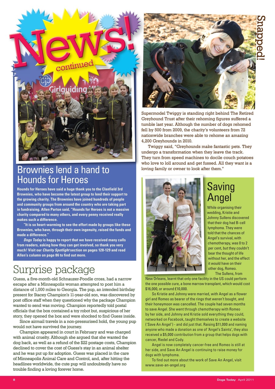 Dogs Today Magazine Preview Pages