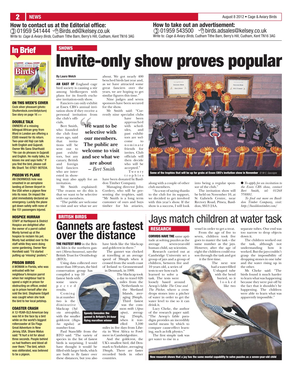 Cage & Aviary Birds Preview Pages