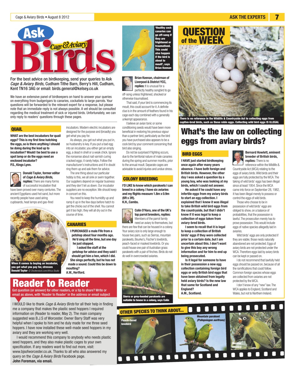 Cage & Aviary Birds Preview Pages