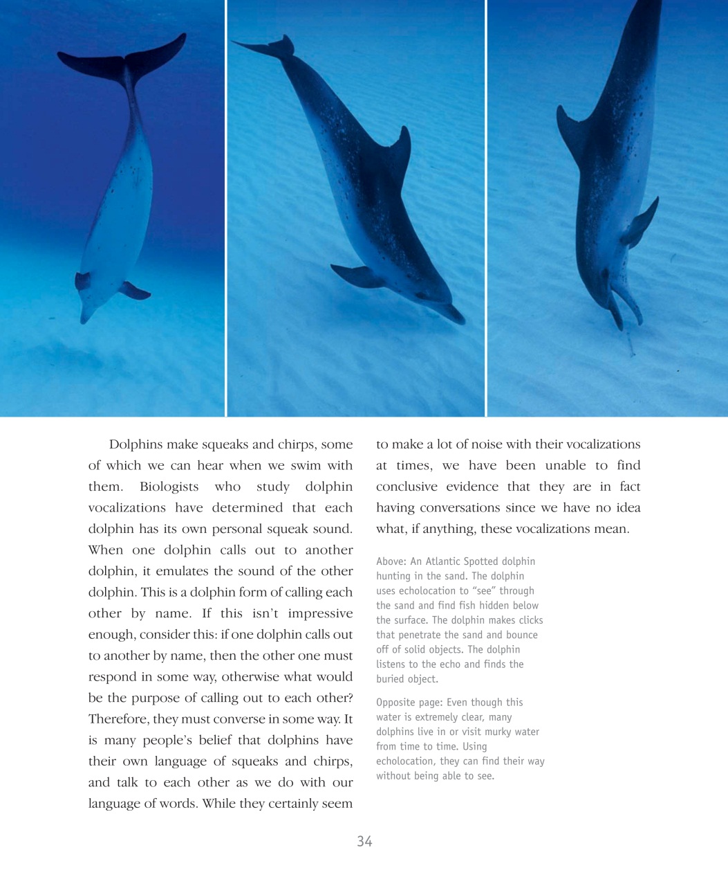 Wildlife Monographs Preview Pages