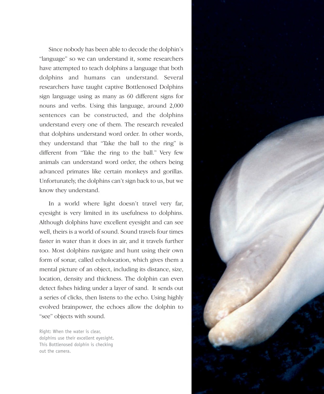 Wildlife Monographs Preview Pages