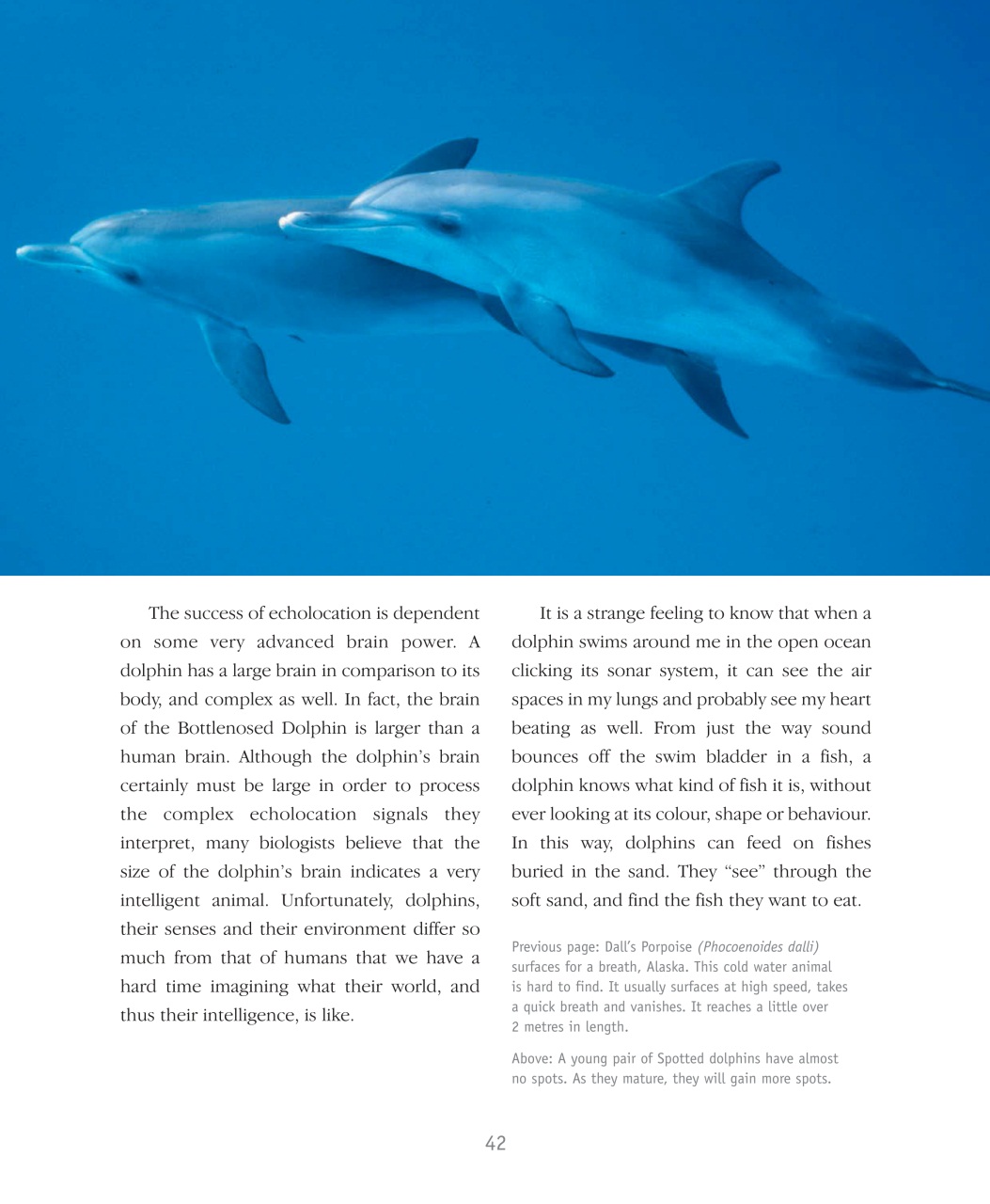 Wildlife Monographs Preview Pages