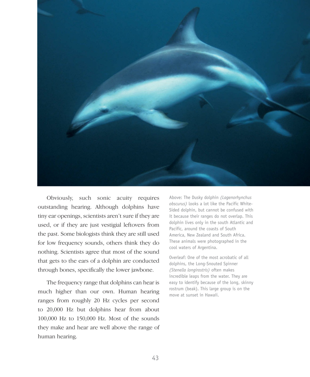 Wildlife Monographs Preview Pages