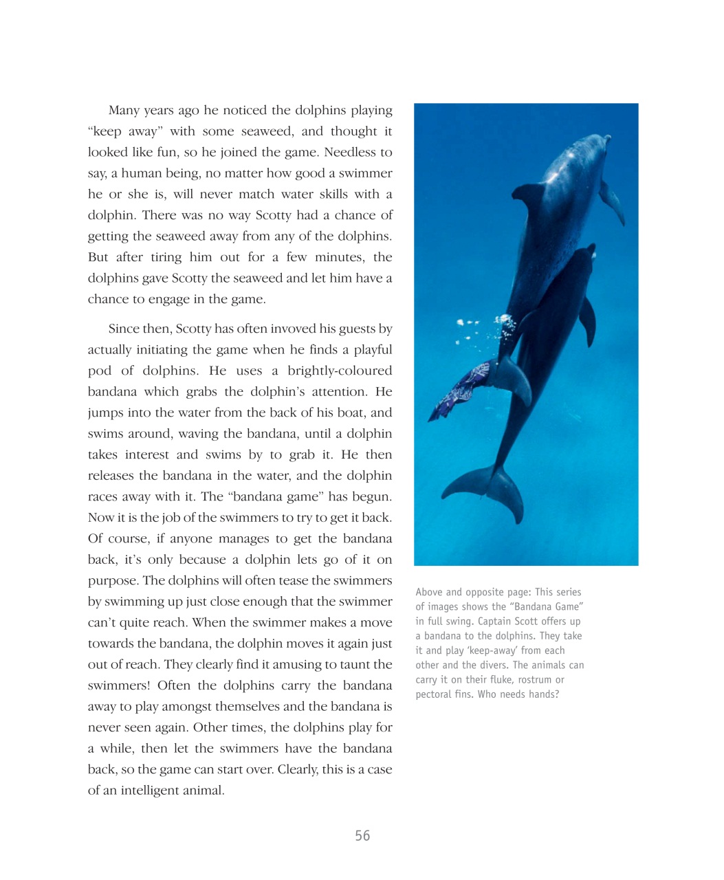 Wildlife Monographs Preview Pages