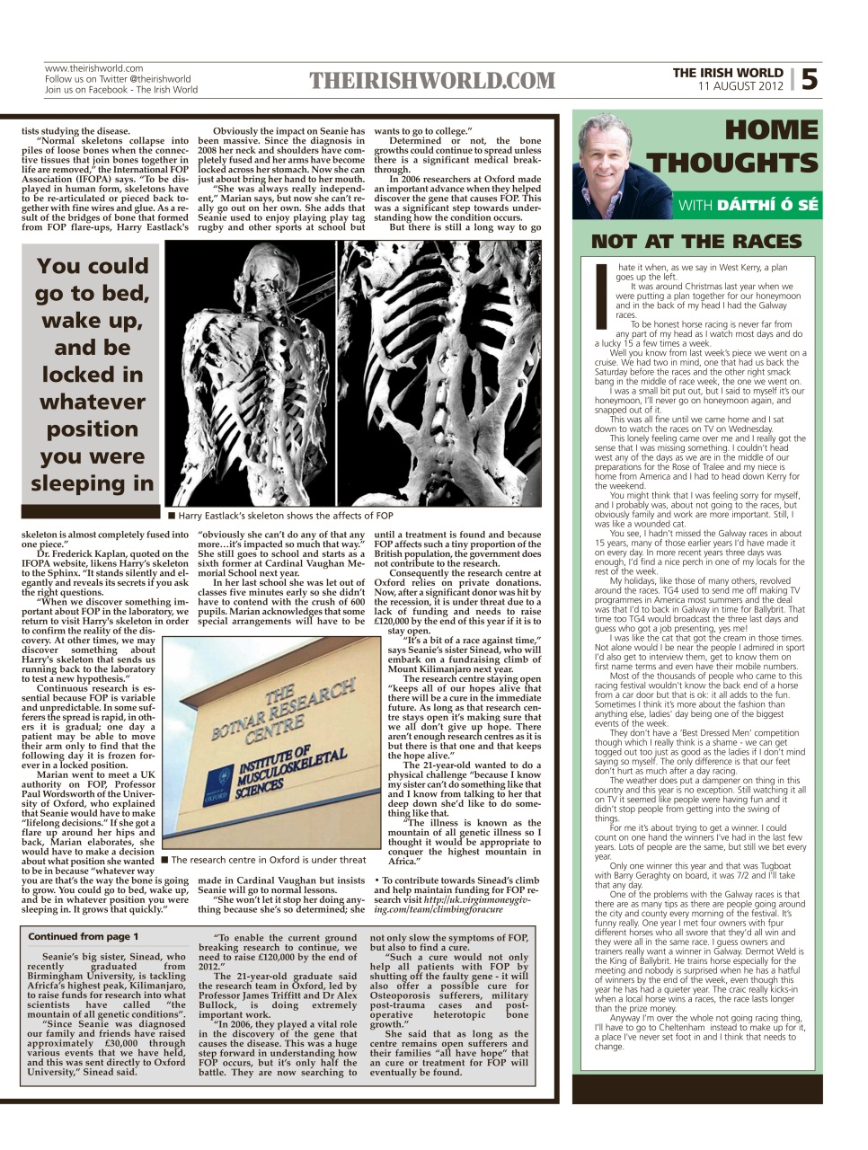 Irish World Preview Pages