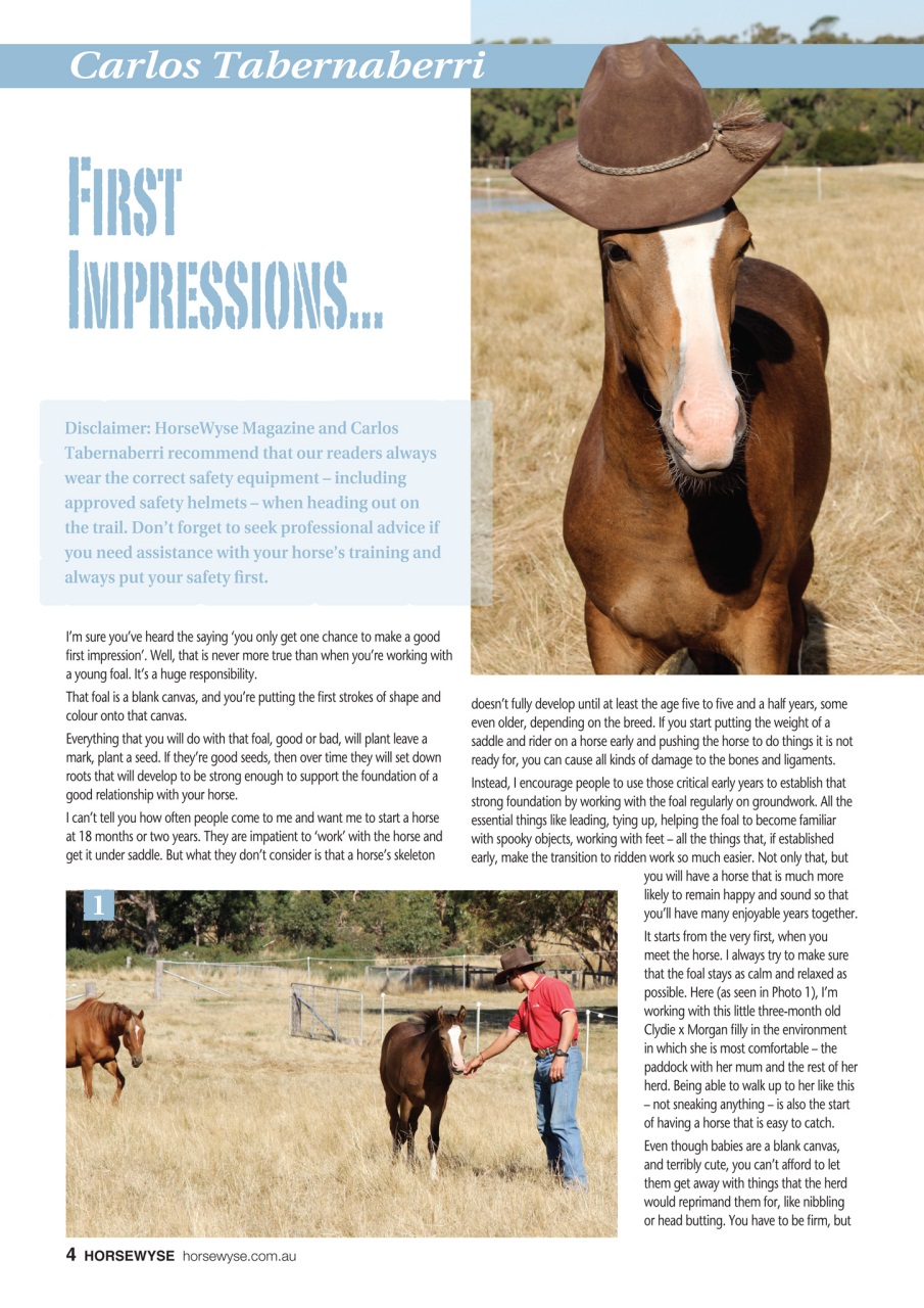 HorseWyse Magazine Preview Pages