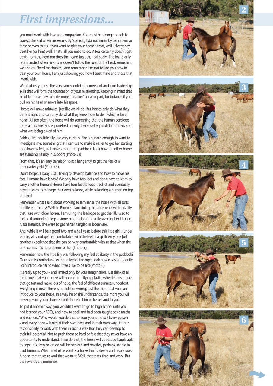 HorseWyse Magazine Preview Pages