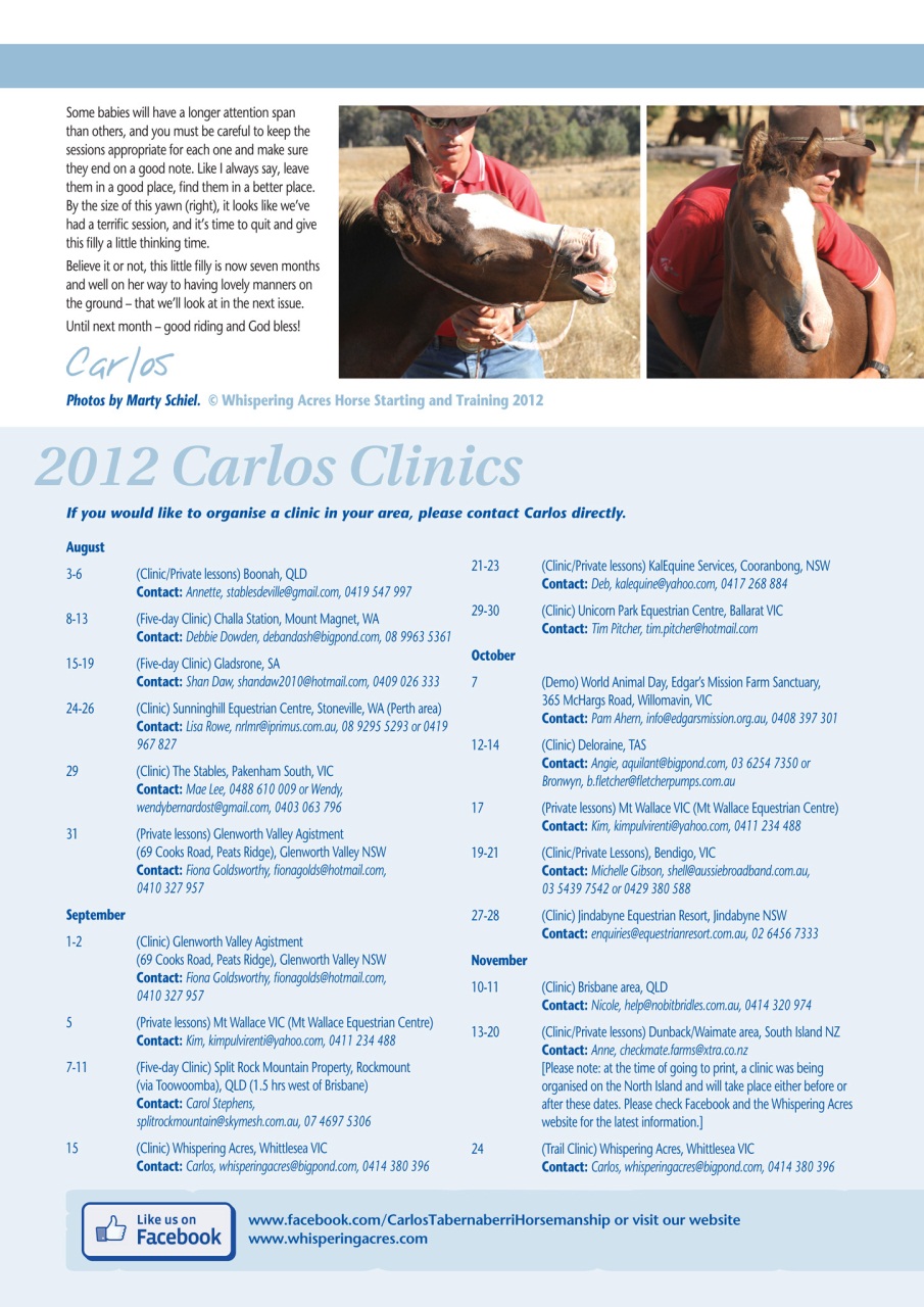 HorseWyse Magazine Preview Pages