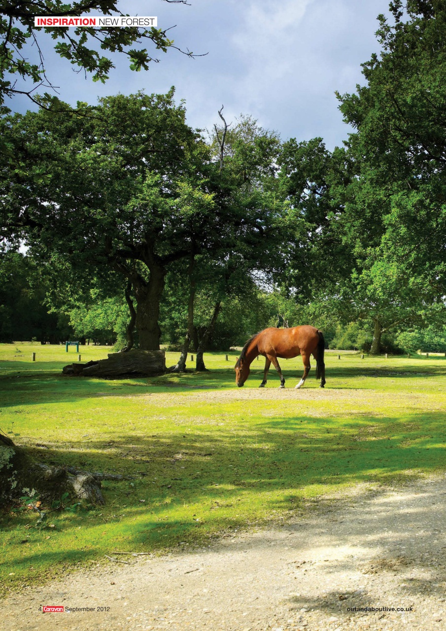 Caravan Magazine Preview Pages