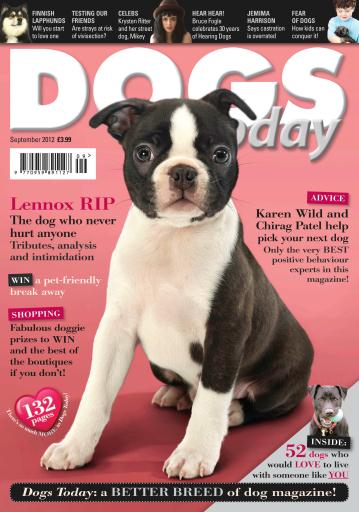 Dogs Today Magazine issue 