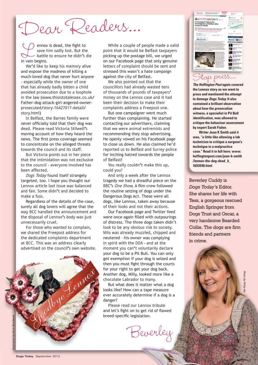 Dogs Today Magazine Preview Pages