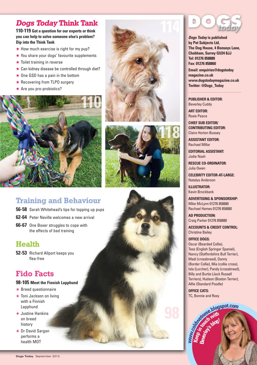 Dogs Today Magazine Preview Pages