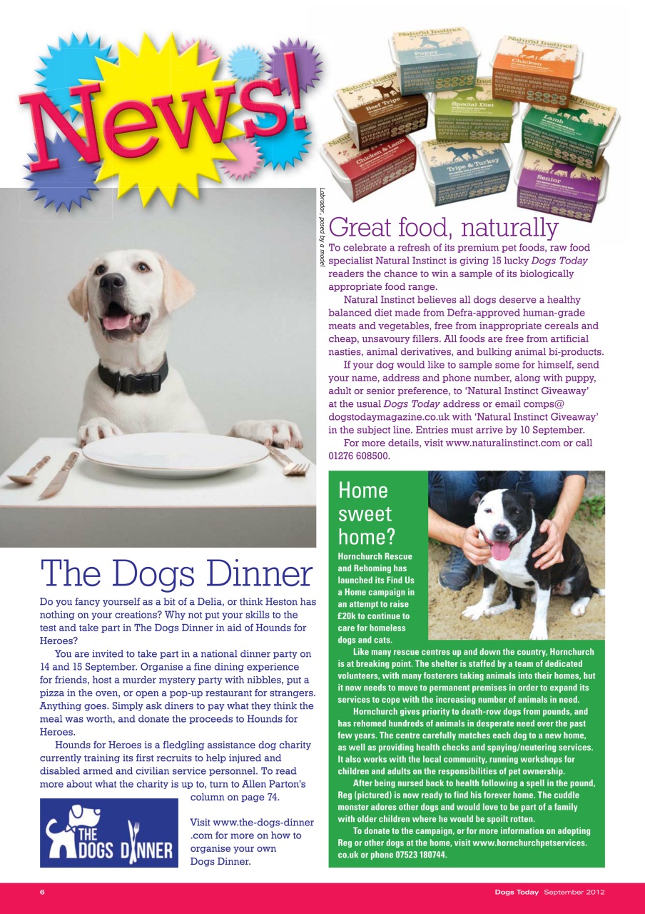 Dogs Today Magazine Preview Pages