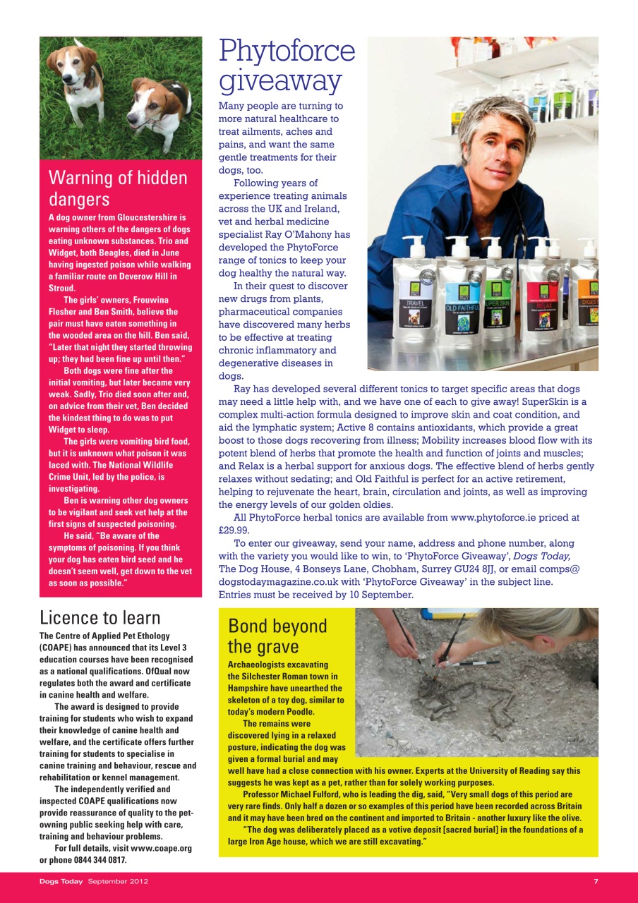 Dogs Today Magazine Preview Pages