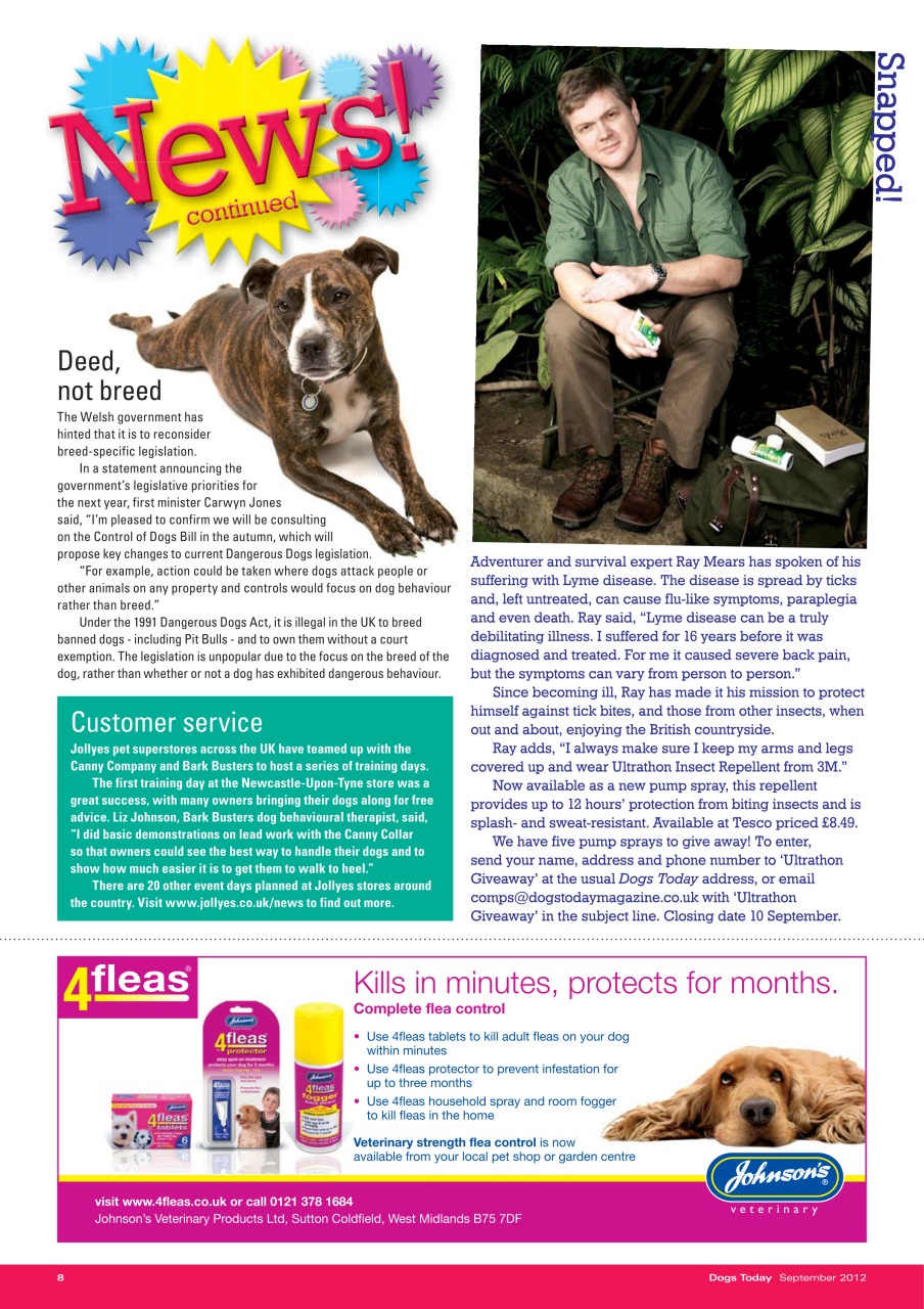 Dogs Today Magazine Preview Pages