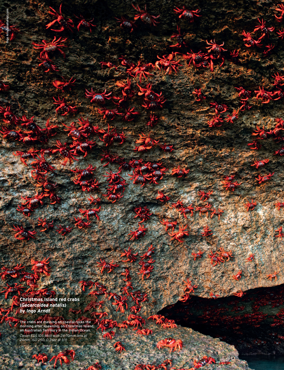 Outdoor Photography Preview Pages