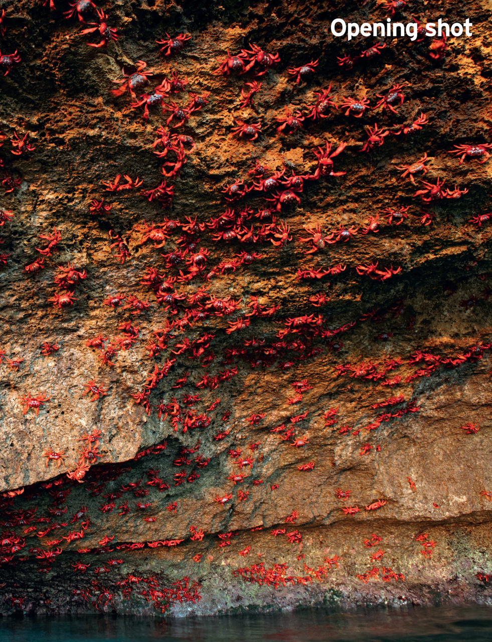 Outdoor Photography Preview Pages