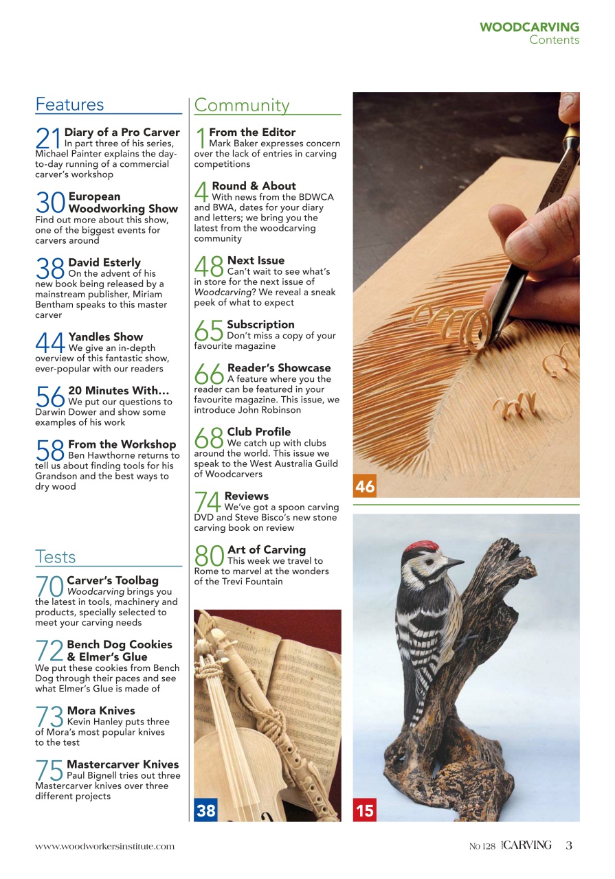 Woodcarving Preview Pages