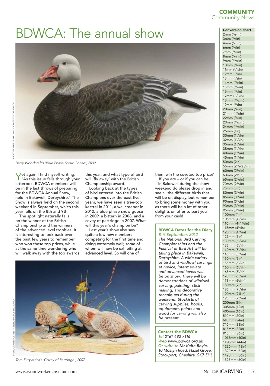 Woodcarving Preview Pages