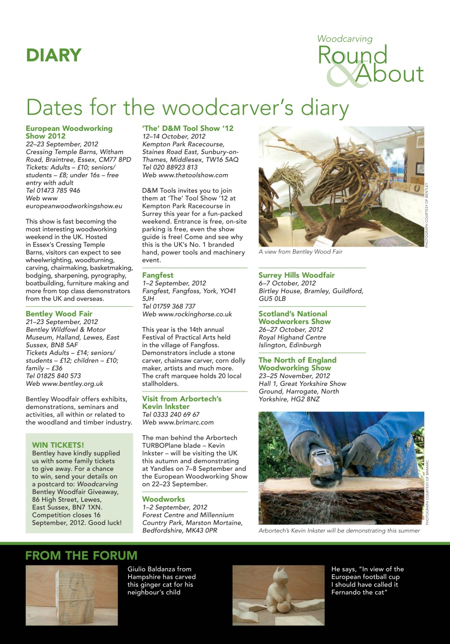 Woodcarving Preview Pages