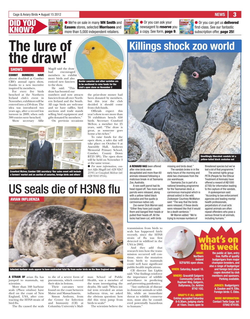 Cage & Aviary Birds Preview Pages