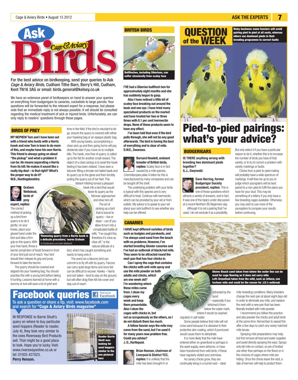 Cage & Aviary Birds Preview Pages